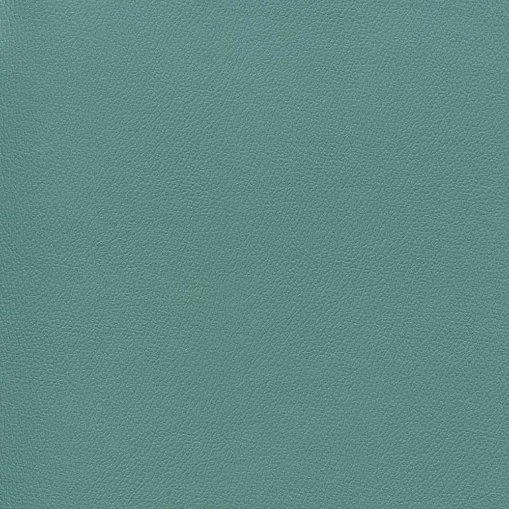 Enduratex Independence Frog Prince 8767 Upholstery Fabric