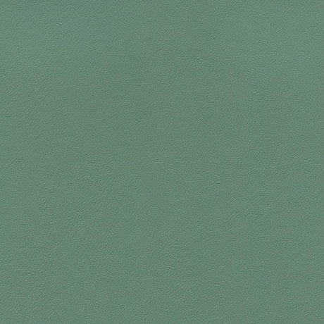 Enduratex Independence Jade 8620 Upholstery Fabric
