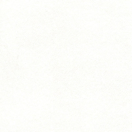 Enduratex Independence Snow White 8413 Upholstery Fabric