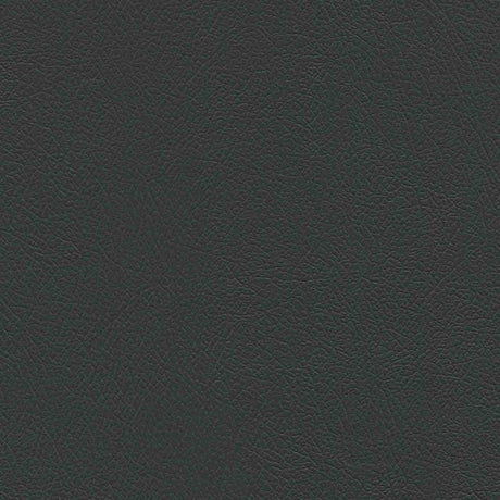 Enduratex Milled Pebble Midnight Black 7400 Upholstery Fabric