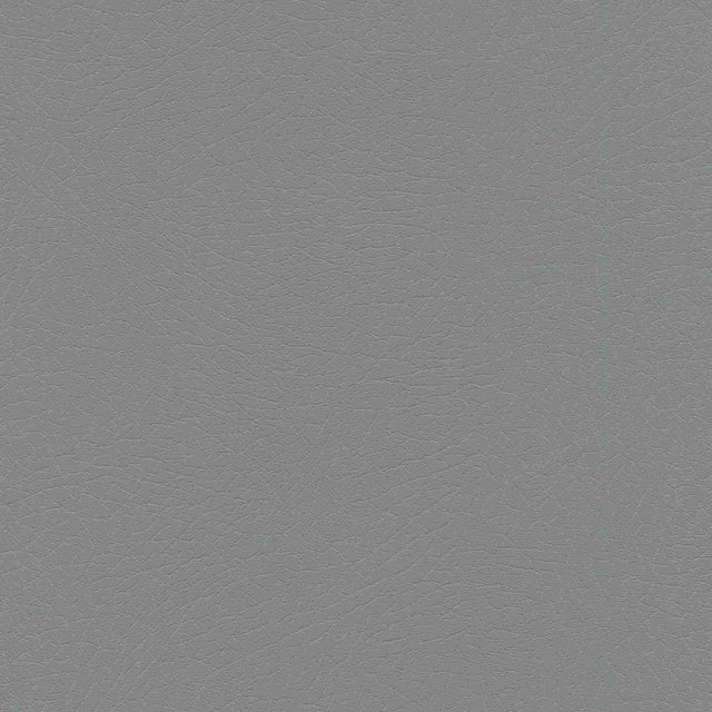 Enduratex Vaquero Pyrite 1040 Upholstery Fabric