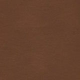 Sample of Enduratex Sierra Montana Saddle 1724 Upholstery Fabric
