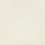 Sample of Enduratex Sierra Montana White 3718 Upholstery Fabric