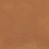 Sample of Enduratex Sierra Montana Camel 5197 Upholstery Fabric