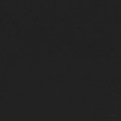 Sample of Enduratex Sierra Leathermate Black 958 Upholstery Fabric