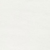 Sample of Enduratex Sierra Leathermate Snow White 9917 Upholstery Fabric