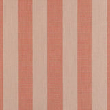 Sunbrella Expressive Blush 14123-0000 Upholstery Fabric