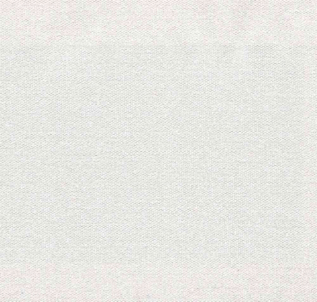 Sample of Tempotest Home Classic Silver Birch 15/151 Foundations Collection Upholstery Fabric