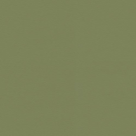 Spirit 526 Sage Contract Automotive and Marine Upholstery Fabric