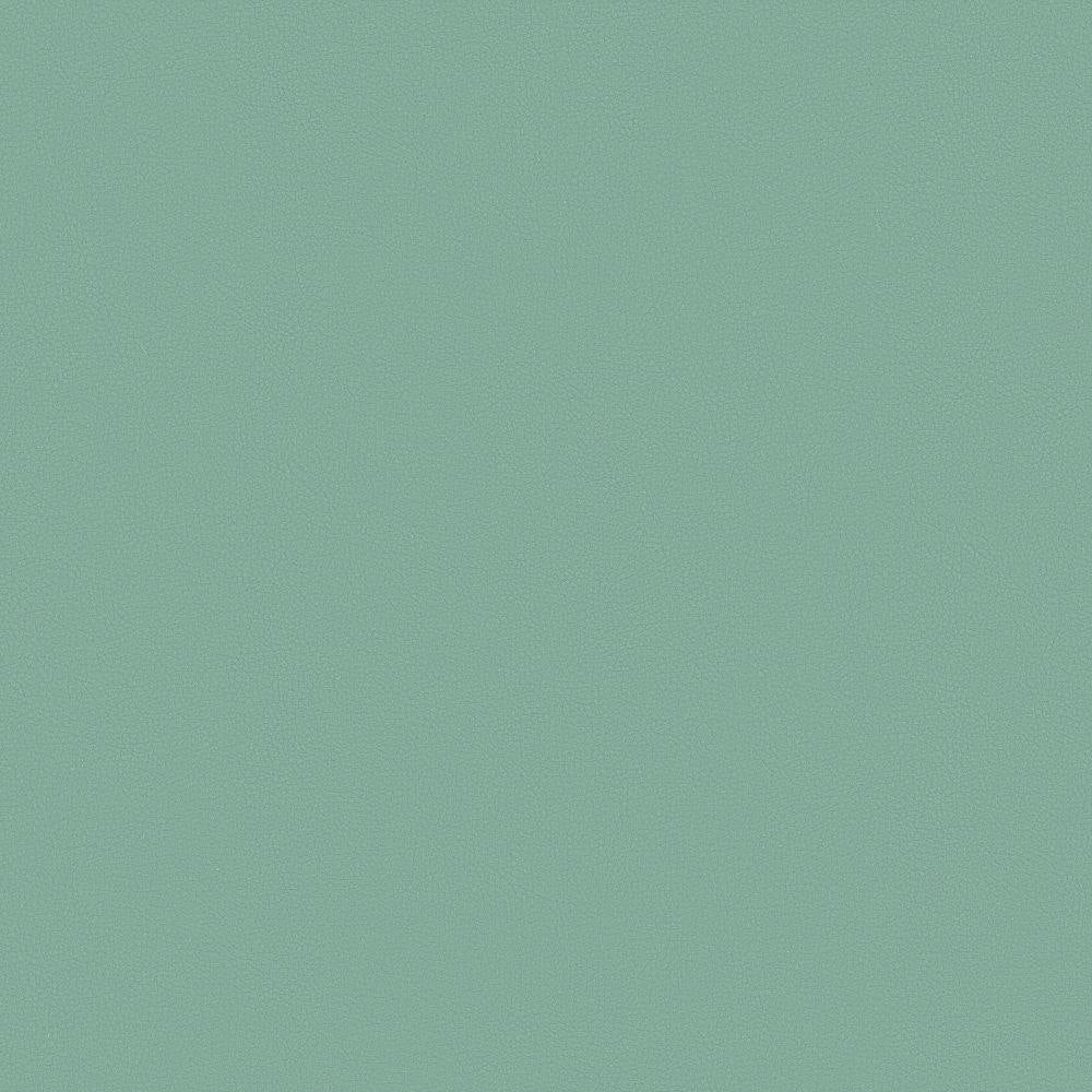 Mayer Apollo Silicone Spa SAP-034 Upholstery Fabric