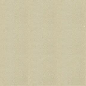 Sample of Ship to Shore Armada 102 Biscay Ivory Automotive / Marine Upholstery Fabric