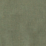 Sunbrella Ambrose Fern 40608-0010 Upholstery Fabric