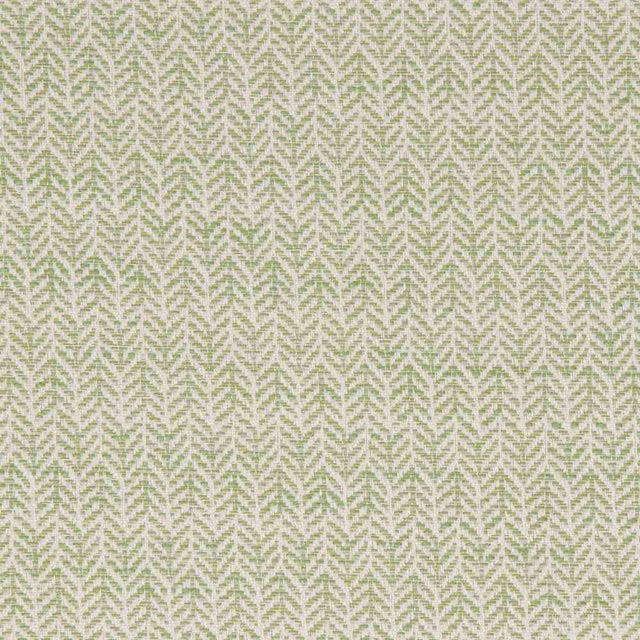 Bella Dura Festoon Lime Home Collection Upholstery Fabric