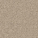 Sample of Softside Gemini 2561 Pearl Upholstery Fabric