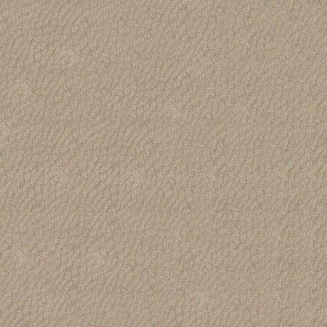 Sample of Softside Gemini 2561 Pearl Upholstery Fabric