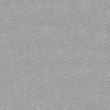 Sample of Softside Gemini 2563 Aluminum Upholstery Fabric