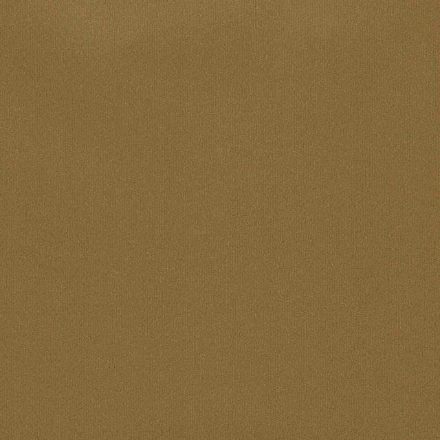 Enduratex Brushed Aluminum Gold 200 Upholstery Fabric
