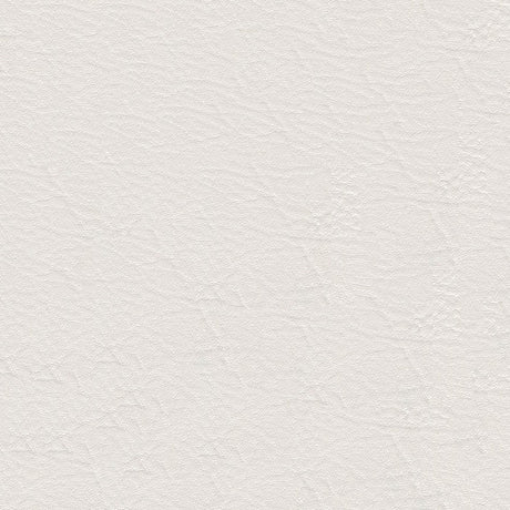 Sample of Softside Heidi Soft Marine 9880 Brilliant White Marine Upholstery Fabric