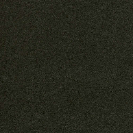 Sample of Enduratex Independence Espresso 8405 Upholstery Fabric