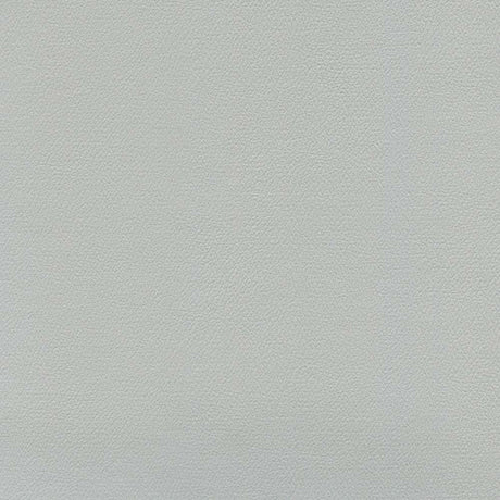 Sample of Enduratex Independence Platinum 8408 Upholstery Fabric