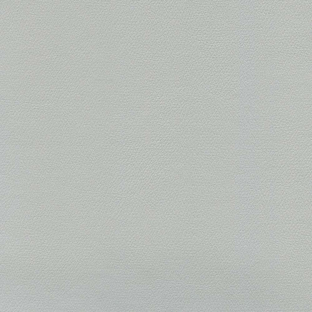 Sample of Enduratex Independence Platinum 8408 Upholstery Fabric