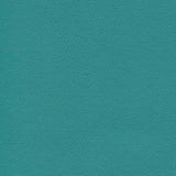 Enduratex Independence Turquoise 8411 Upholstery Fabric