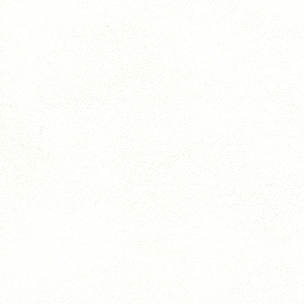 Sample of Enduratex Independence Snow White 8413 Upholstery Fabric