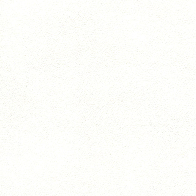 Sample of Enduratex Independence Snow White 8413 Upholstery Fabric