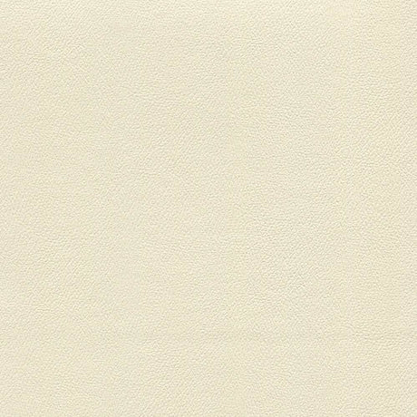 Enduratex Independence Adobe 8501 Upholstery Fabric