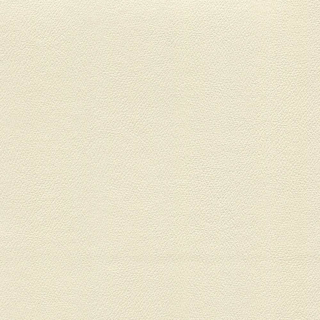 Enduratex Independence Adobe 8501 Upholstery Fabric