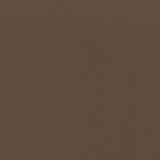 Sample of Enduratex Independence Chestnut 8516 Upholstery Fabric