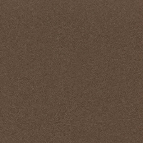 Enduratex Independence Chestnut 8516 Upholstery Fabric