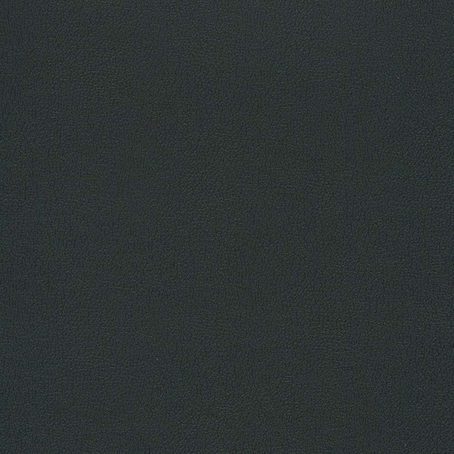 Enduratex Independence Black 8540 Upholstery Fabric