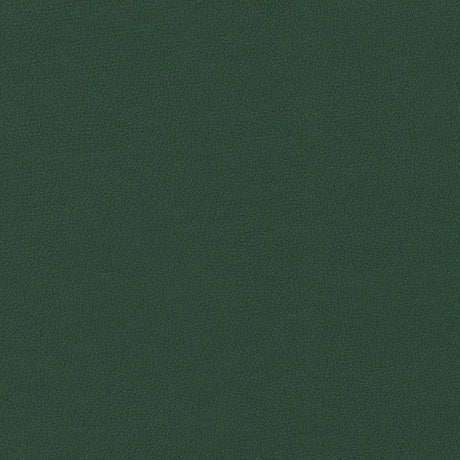 Sample of Enduratex Independence Yew Green 8553 Upholstery Fabric