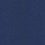 Enduratex Independence Deep Phoenician 8576 Upholstery Fabric
