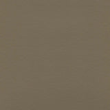Sample of Enduratex Independence Taupe 8584 Upholstery Fabric
