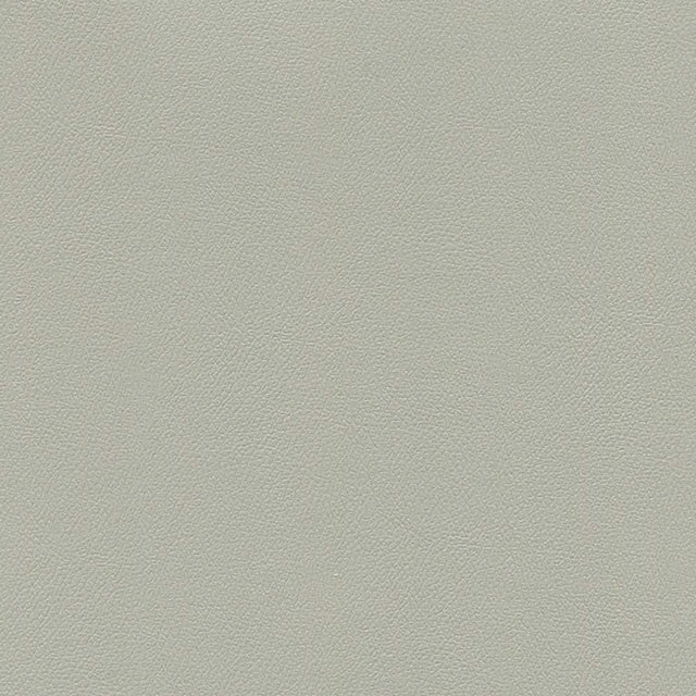 Enduratex Independence Alabaster 8603 Upholstery Fabric