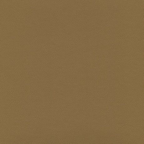 Enduratex Independence Brown Sugar 8605 Upholstery Fabric
