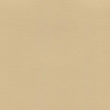 Enduratex Independence Camel 8606 Upholstery Fabric