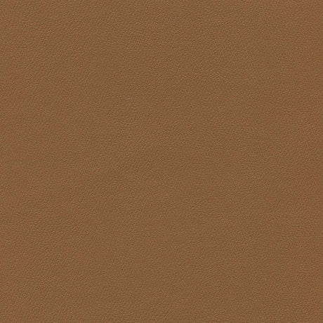 Sample of Enduratex Independence Cinnamon 8608 Upholstery Fabric