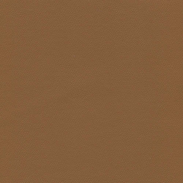 Sample of Enduratex Independence Cinnamon 8608 Upholstery Fabric