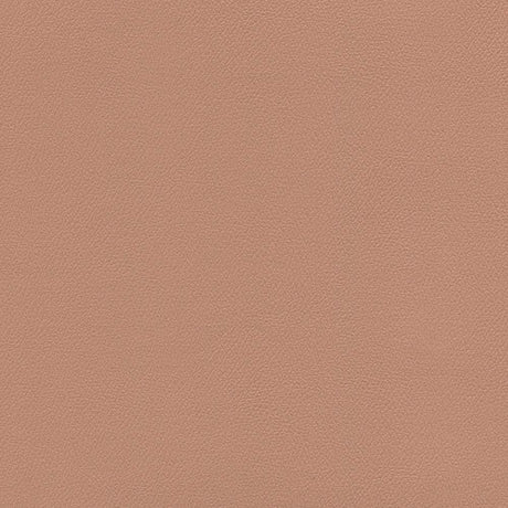 Sample of Enduratex Independence Clay 8609 Upholstery Fabric