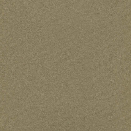 Enduratex Independence French Brown 8617 Upholstery Fabric