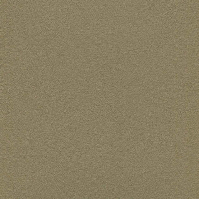 Enduratex Independence French Brown 8617 Upholstery Fabric