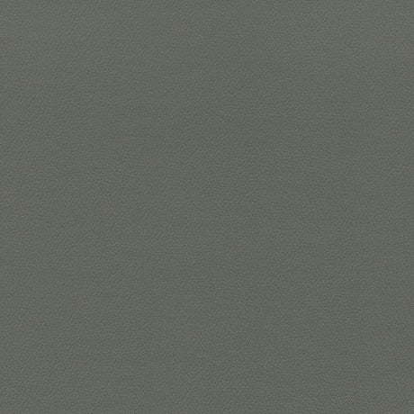 Sample of Enduratex Independence Gunmetal 8619 Upholstery Fabric