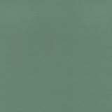 Enduratex Independence Jade 8620 Upholstery Fabric