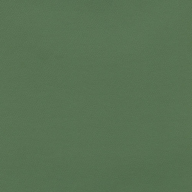 Sample of Enduratex Independence Loden 8622 Upholstery Fabric