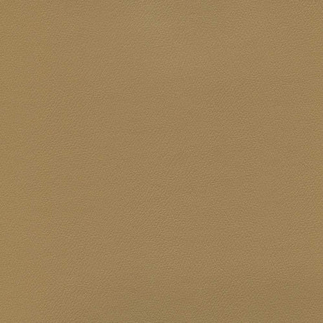 Sample of Enduratex Independence Light Maple 8624 Upholstery Fabric
