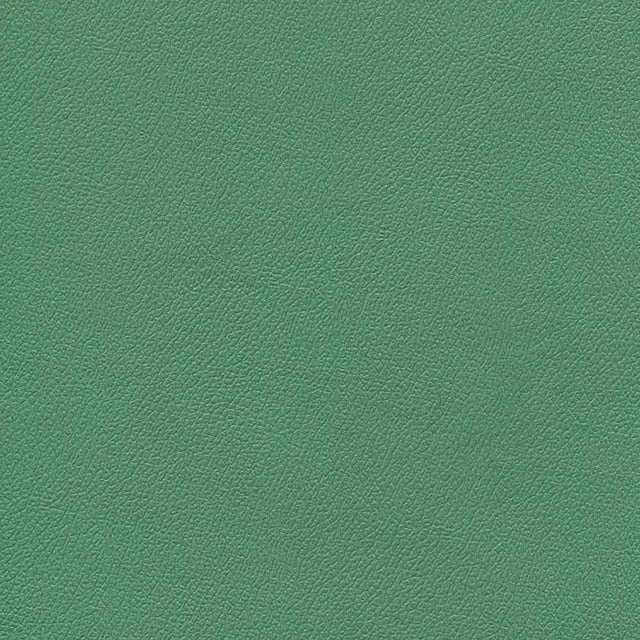 Sample of Enduratex Independence Amuse-Mint 8750 Upholstery Fabric