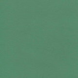 Enduratex Independence Amuse-Mint 8750 Upholstery Fabric